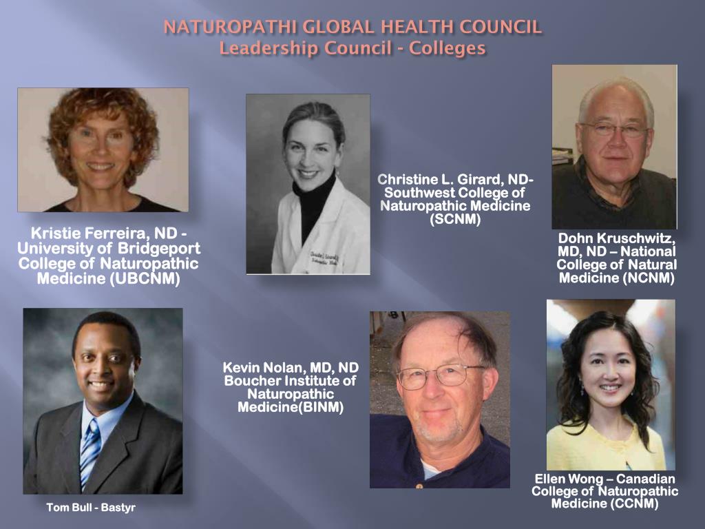 PPT - the Naturopathic Global Health Council PowerPoint Presentation, free  download - ID:2529063