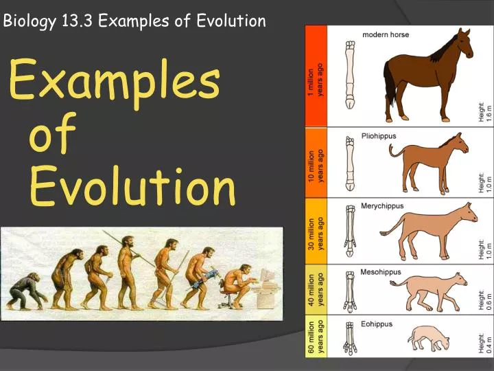 examples of evolutionary theory