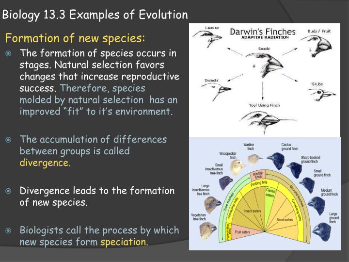 what is evolutionary biology what is evolutionary biology