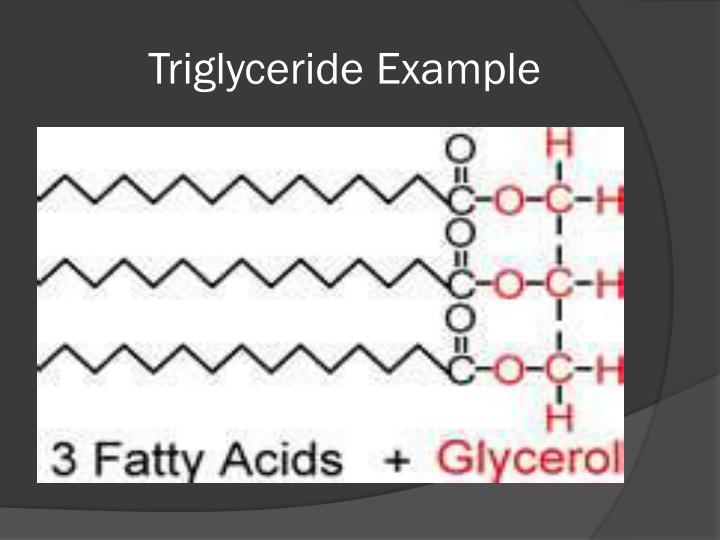 Ppt - Biomolecules Discussion Powerpoint Presentation - Id:2531010