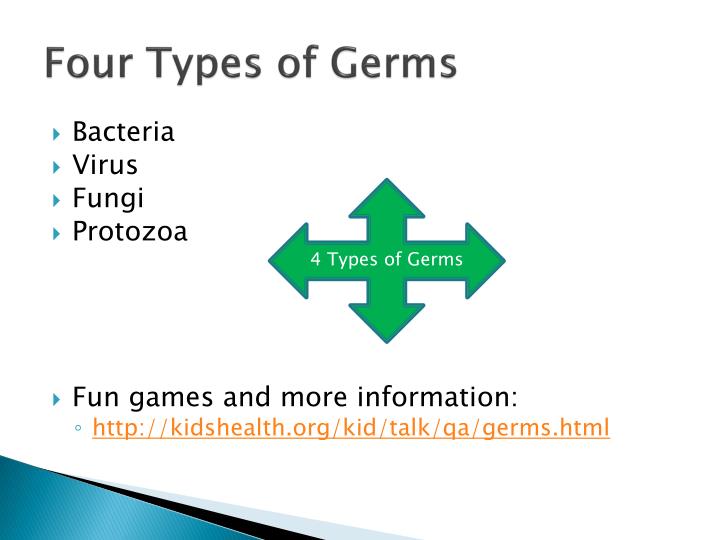 four types of germs