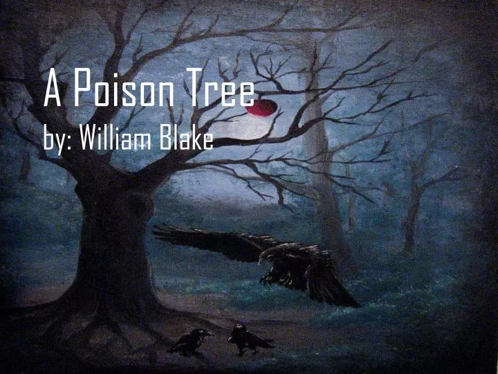 a poison tree by william blake summary of the story