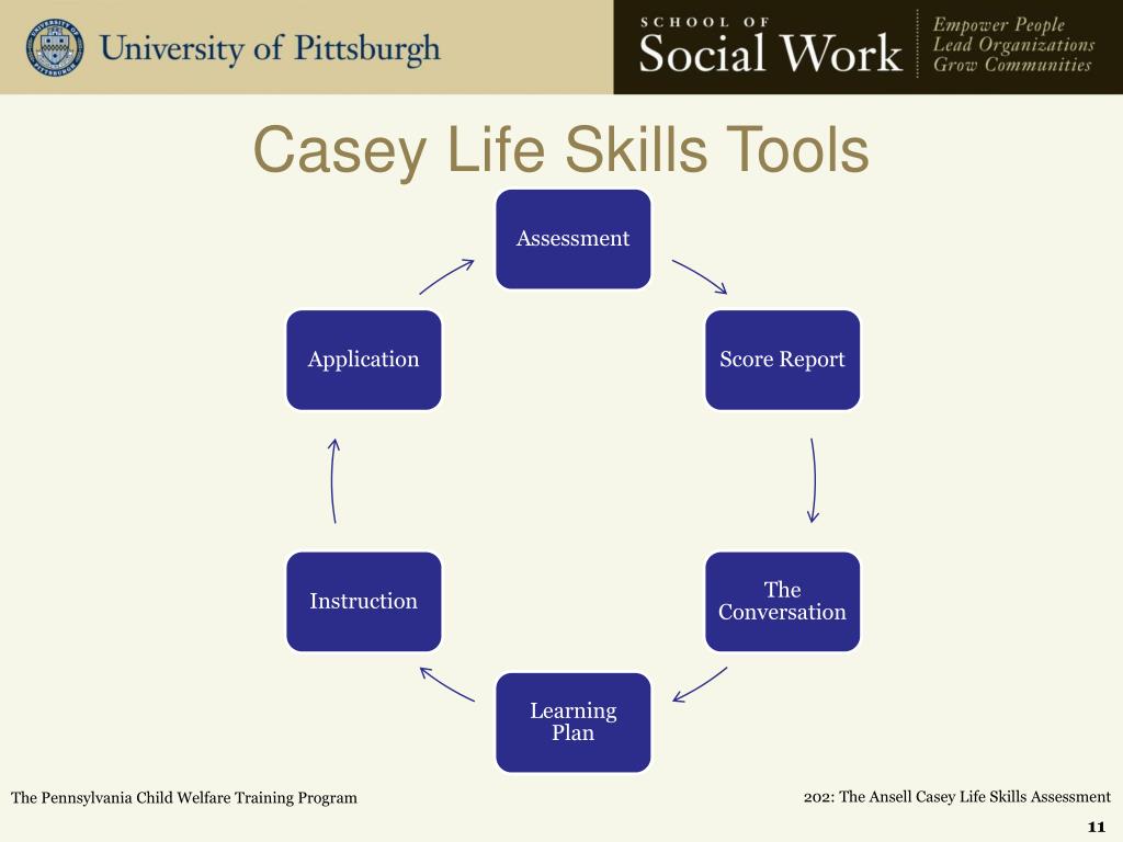 casey-life-skills-assessment-scoring-roy-register