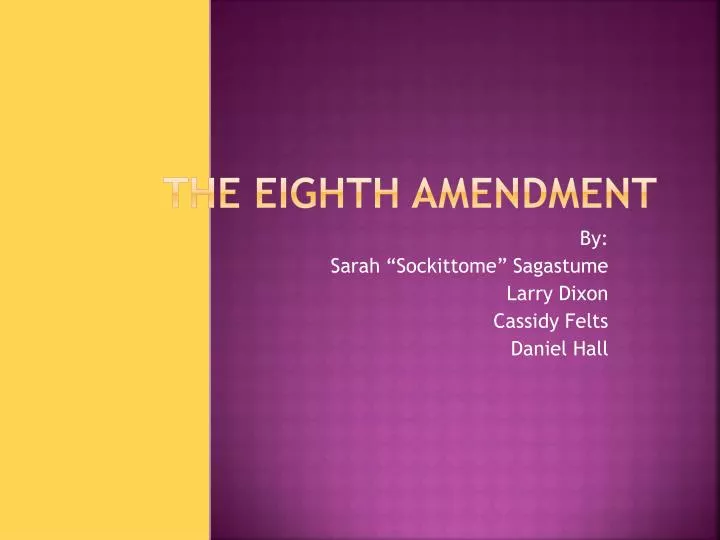 presentation on 8th amendment