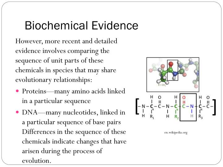 PPT Biology in Focus, HSC Course Glenda Childrawi , Margaret Robson