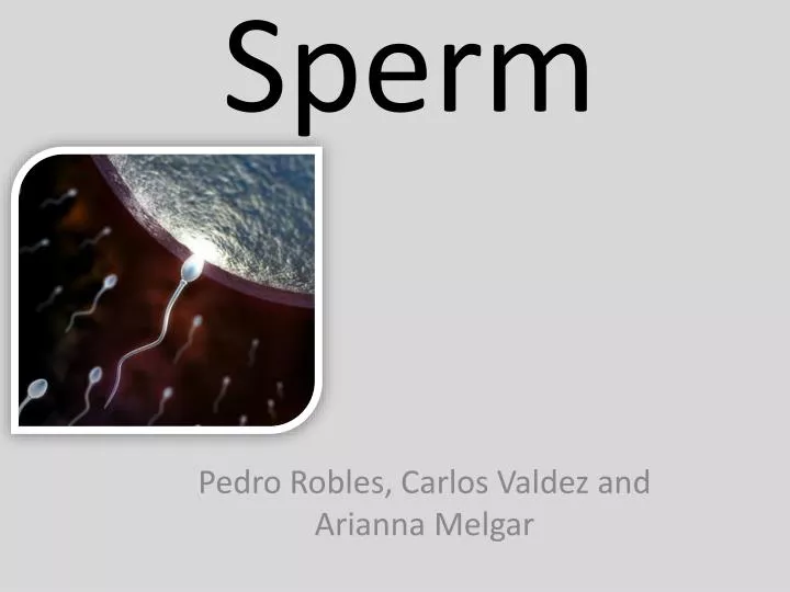 PPT Sperm PowerPoint Presentation Free Download ID 2534864