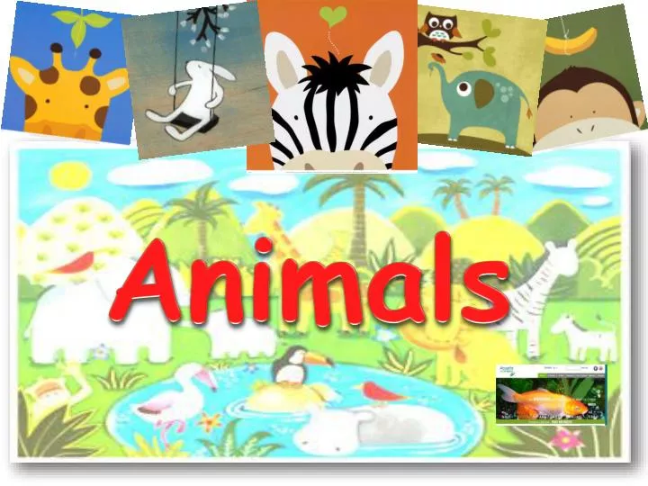 animals powerpoint presentation for kindergarten