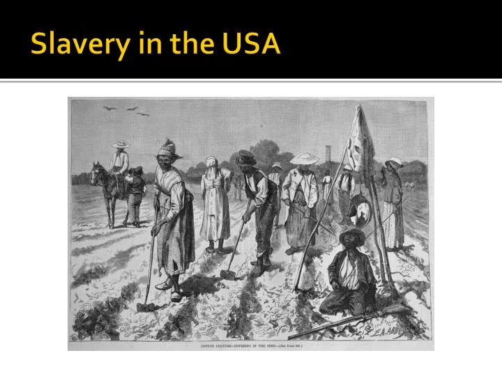 an introduction to the issue of slavery in american history Slavery and sectionalism one issue with the introduction of large-scale cotton production in the lower south history 1994. an introduction to the issue of slavery in american history Slavery and sectionalism one issue with the introduction of large-scale cotton production in the lower south history 1994.