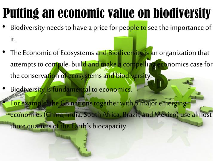 PPT - Why Is Biodiversity Important? Who Cares? PowerPoint Presentation ...