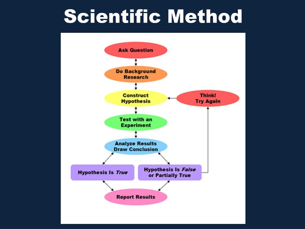 Methods section