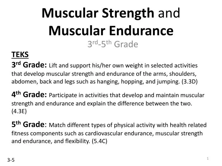 PPT - Muscular Strength and Muscular Endurance PowerPoint Presentation -  ID:2537683