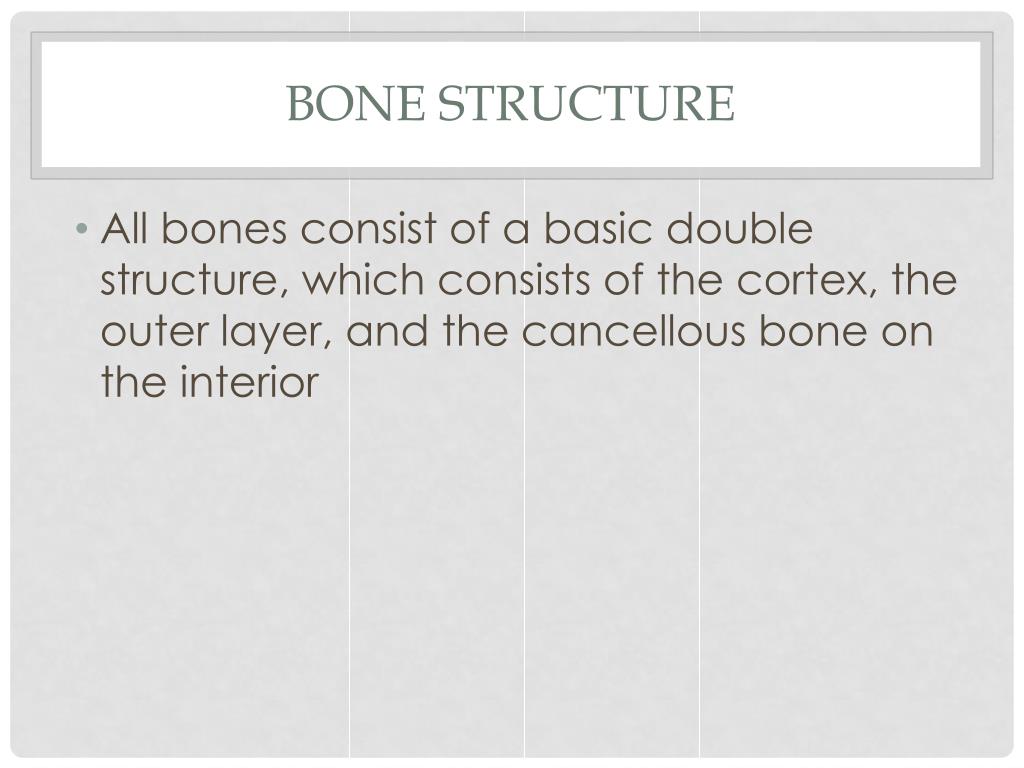 PPT - Bone Regeneration PowerPoint Presentation, free download - ID:2557327