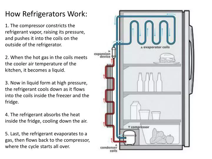 PPT - How Refrigerators Work: PowerPoint Presentation, free download - ID:2557724 PPT - How Refrigerators Work: PowerPoint Presentation, free download - ID:2557724