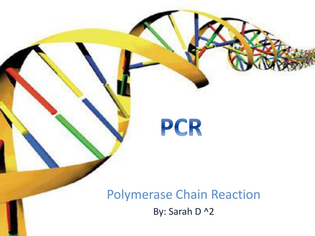 pcr powerpoint presentation