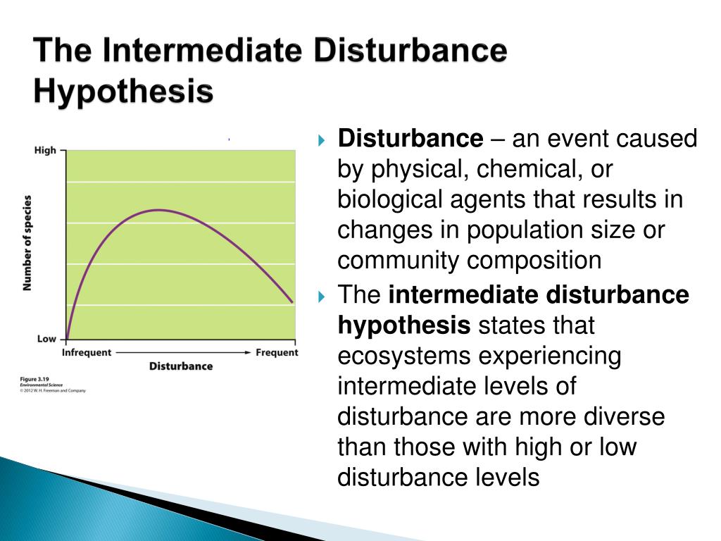 intermediate disturbance hypothesis definition environmental science