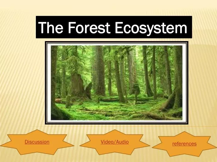 PPT The Forest Ecosystem PowerPoint Presentation, free download ID