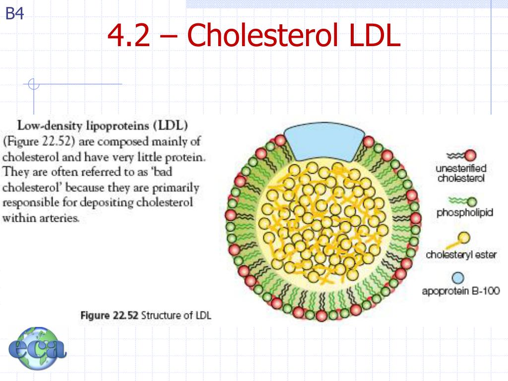 PPT Topic B Part 4 Lipids PowerPoint Presentation Free Download 