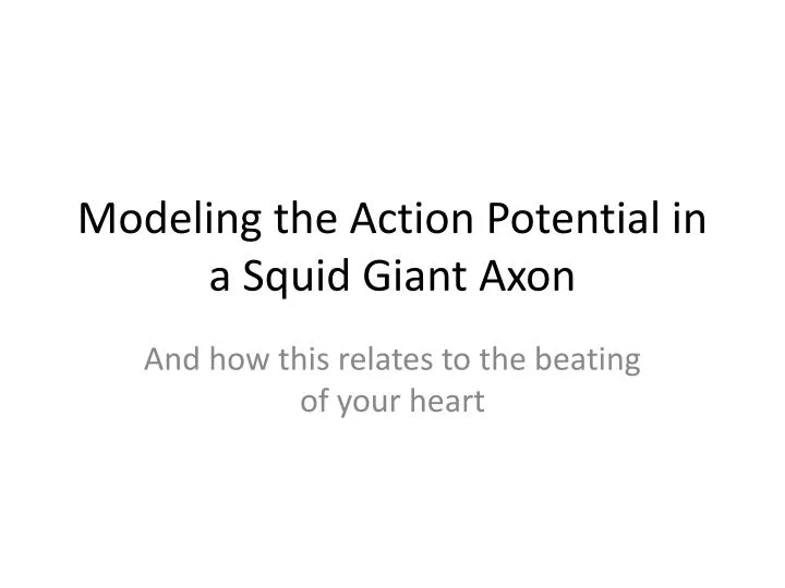 modeling the action potential in a squid giant axon n.
