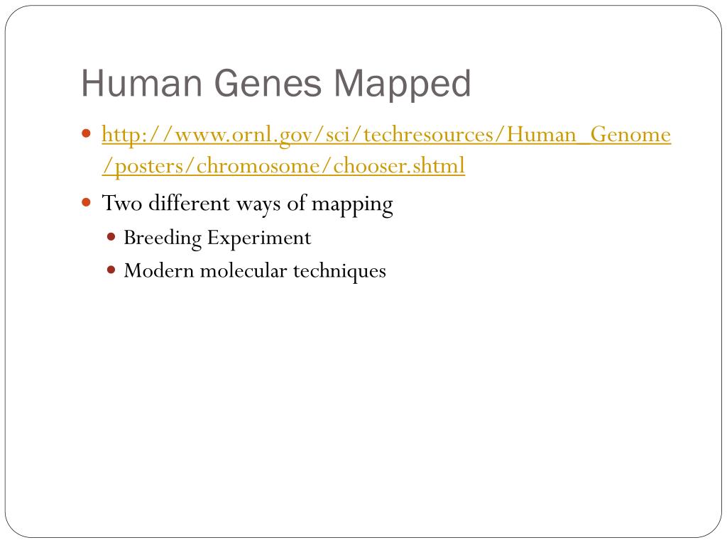 mapped the human genome mapped the human genome