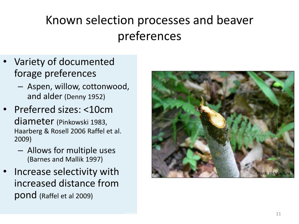 PPT - Dr. John Stella Anna Harrison 19 th September 2011 PowerPoint ...