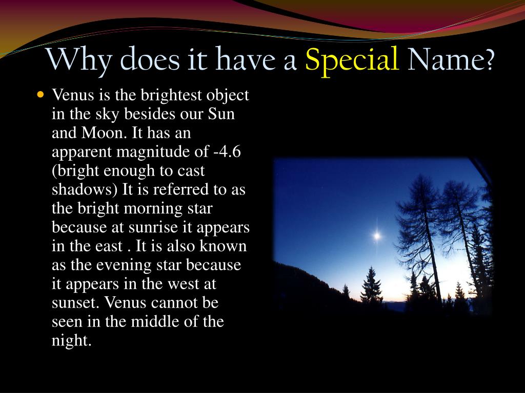 why-does-it-have-a-special-name-l.jpg