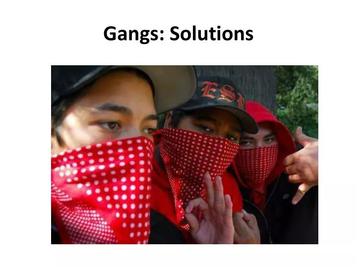 gangs solutions n.