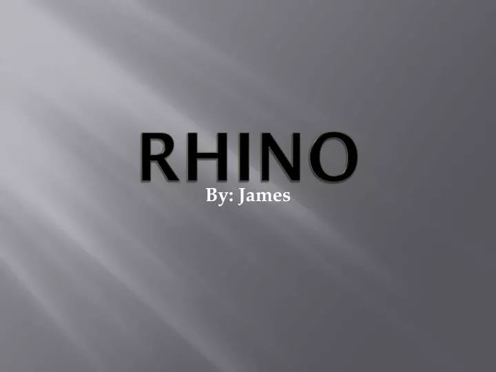 rhino n.