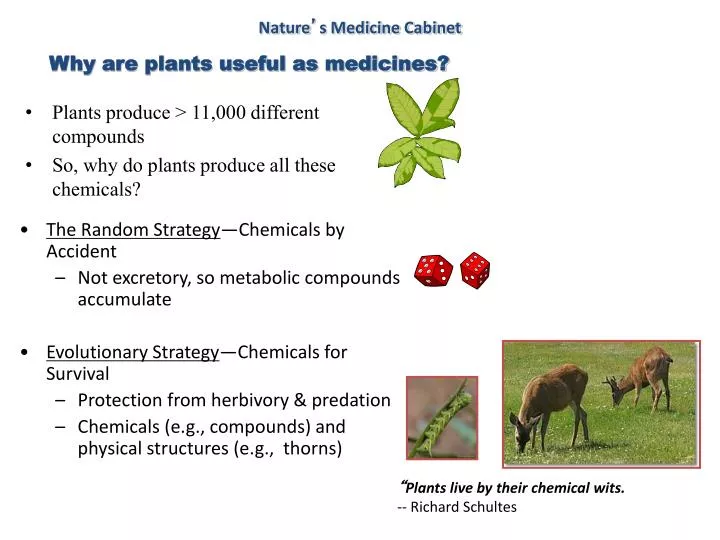 PPT Plants produce > 11,000 different compounds So, why do plants