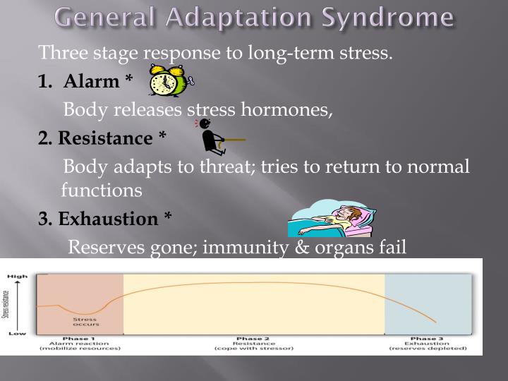 PPT - Chapter 12 STRESS, COPING & HEALTH PowerPoint Presentation - ID ...