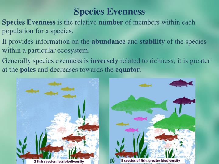 PPT Section 202 + 3 Patterns & Succession PowerPoint Presentation