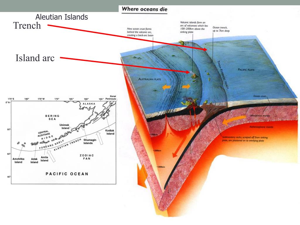 PPT - The Theory of Plate Tectonics PowerPoint Presentation, free
