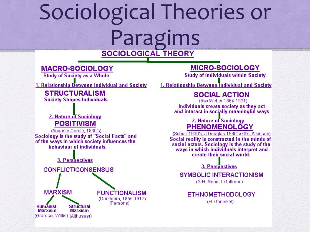 sociological theries