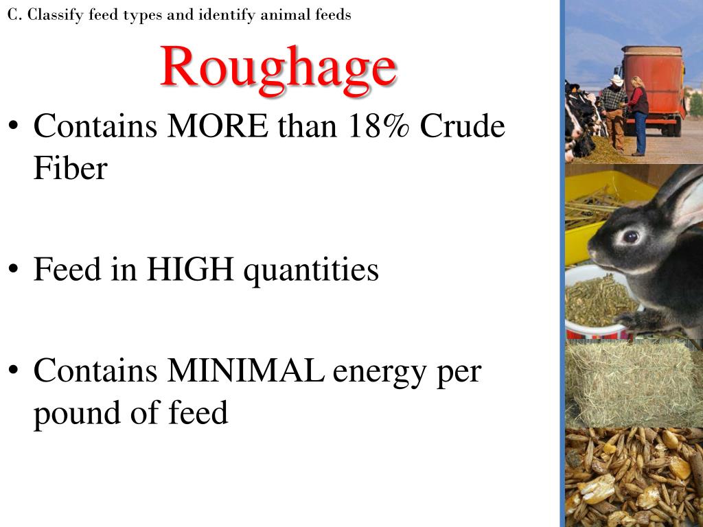 Roughage Examples roughage-examples