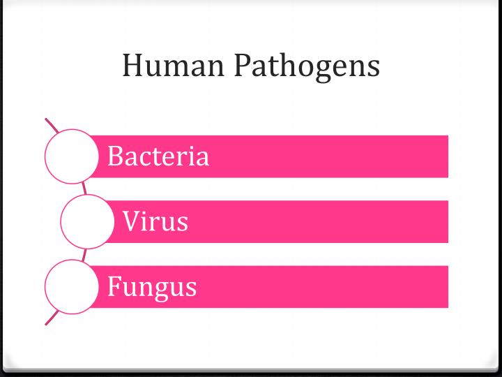 PPT - Infectious Disease PowerPoint Presentation - ID:2575819
