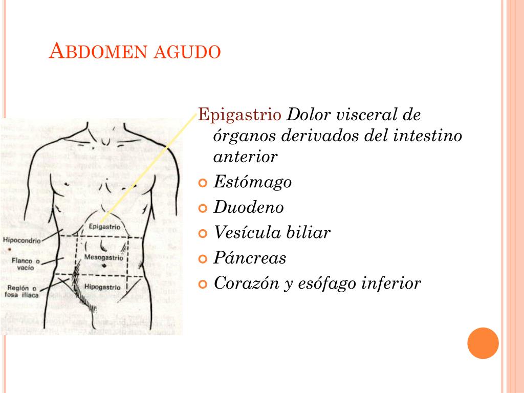 PPT Abdomen agudo Traumático , Vascular y Hemorrágico PowerPoint