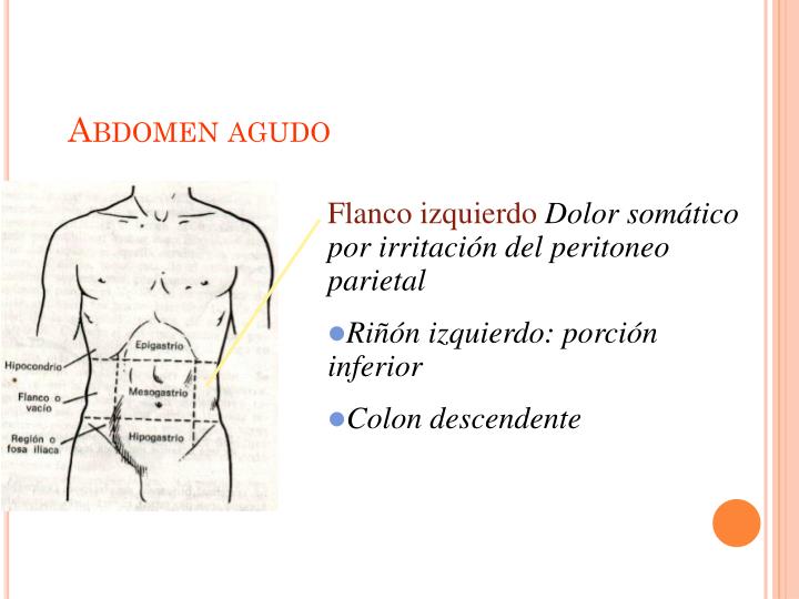 ppt-abdomen-agudo-traum-tico-vascular-y-hemorr-gico-powerpoint