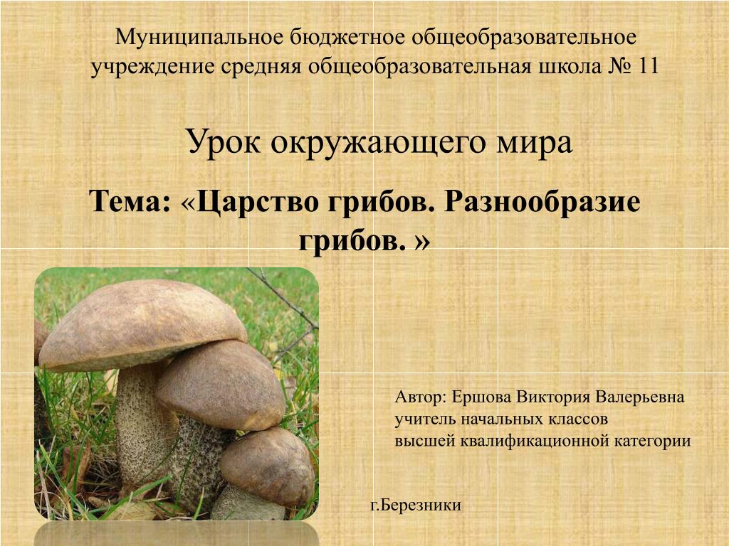 Урок биологии грибы. Царство грибов презентация. Разнообразие грибов. Презентация по грибам. Грибы 5 класс.