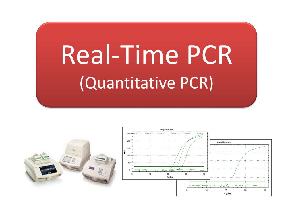 real time pcr presentation