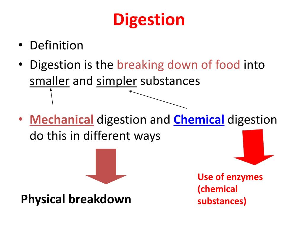 ppt-digestive-powerpoint-presentation-free-download-id-2578172