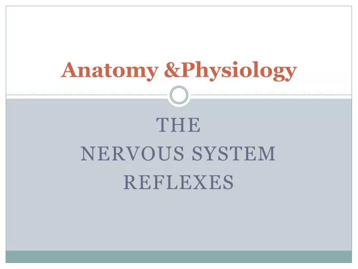 ANATOMY AND PHYSIOLOGY POWERPOINT visual data 2