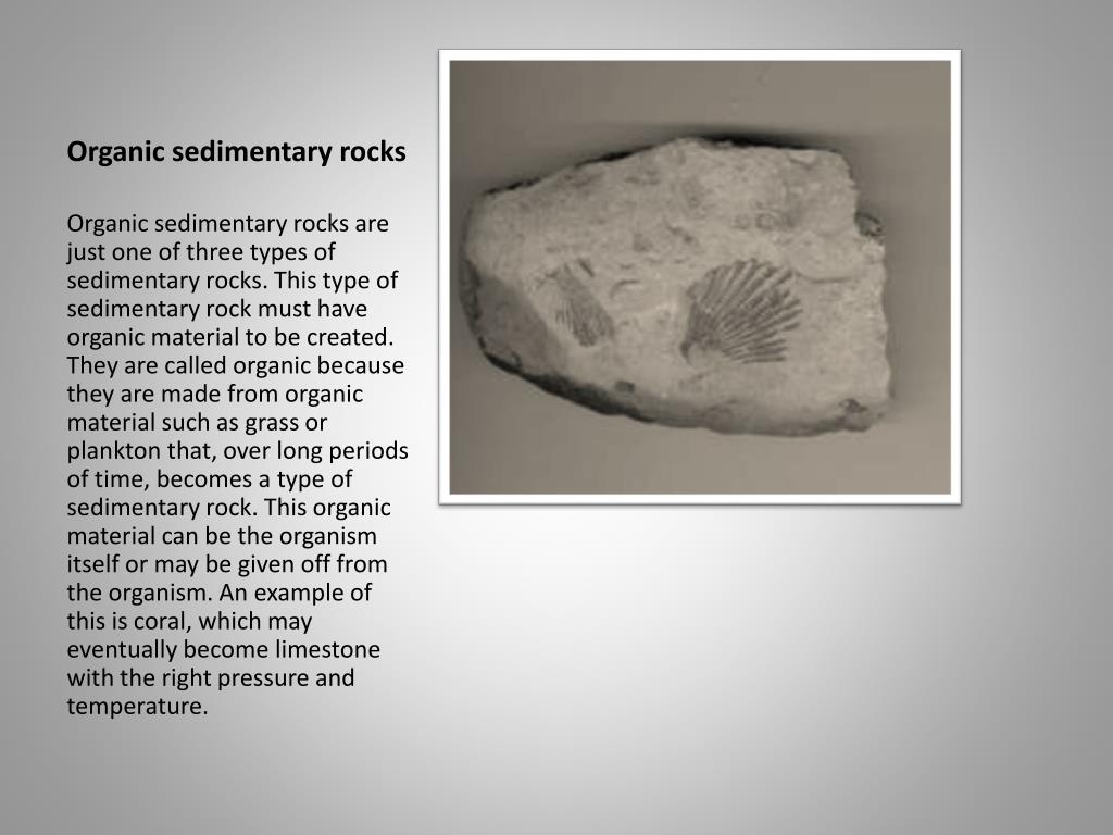 Organic Sedimentary Rocks Examples