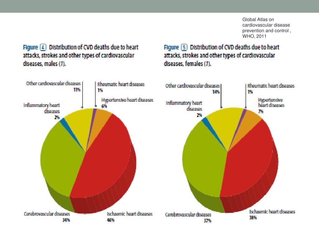 PPT - Epidemiology a nd Prevention of Cardiovascular Diseases ...