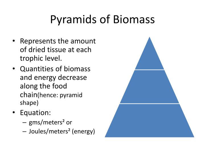 Ppt pyramids of numbers pyramids of biomass pyramids of productivity 