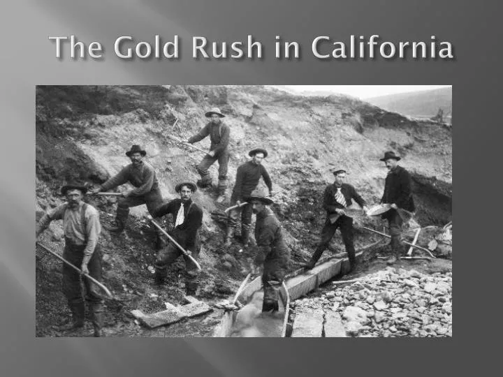 PPT The Gold Rush in California PowerPoint Presentation, free