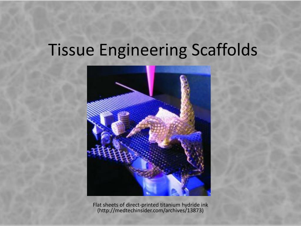 tissue engineering scaffold top materials