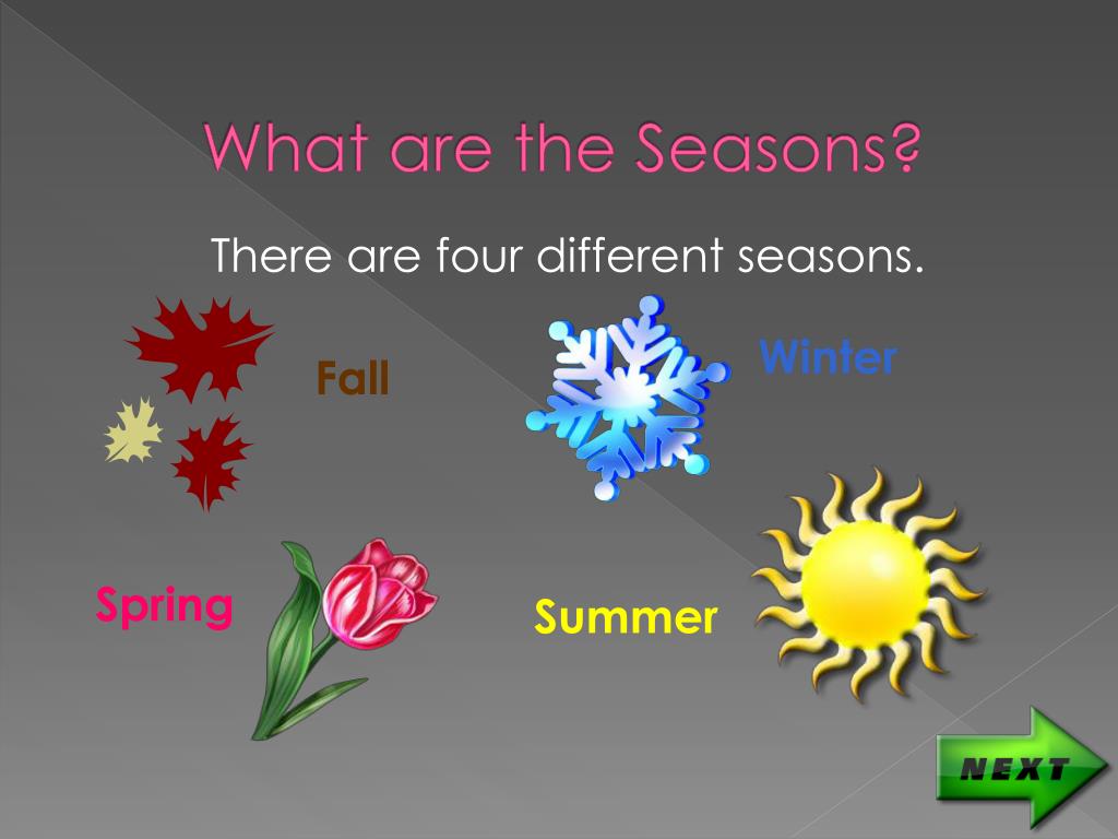 seasons of the year seasons of the year