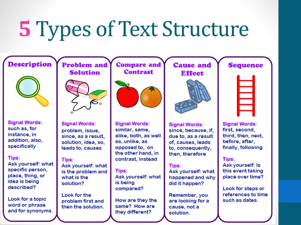 which type of organizational essay text structure uses time