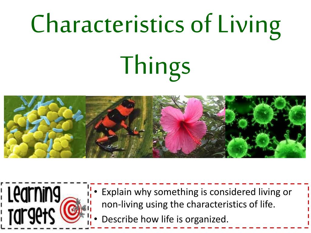 powerpoint presentation on characteristics of living things