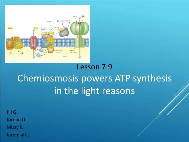 Ppt Lesson 7 9 Chemiosmosis Powers Atp Synthesis In The Light Reasons Powerpoint Presentation