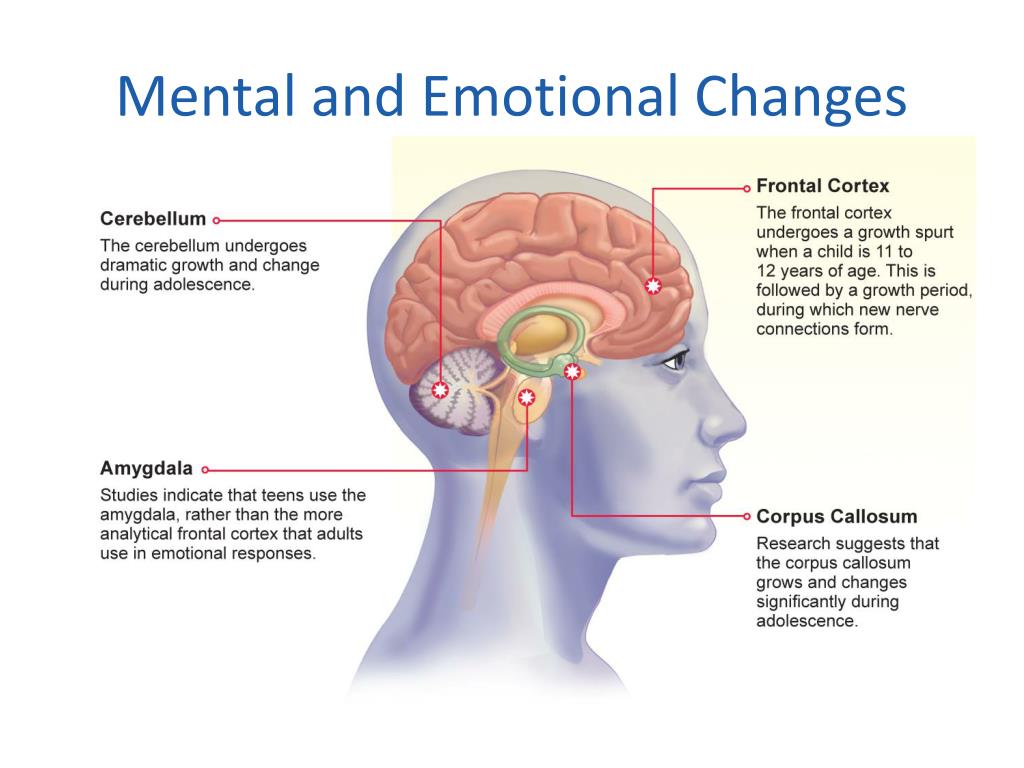 research on religious changes during adolescence indicates that